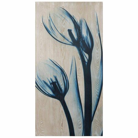 EMPIRE ART DIRECT Blue Tulips Fine Radiographic Photography Hi Definition Giclee Printed Wall Art by Albert Koetsier FAL-AK021B-2448